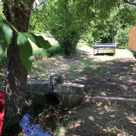 Gite Dans Le Sud Aveyron Appartement Saint-Affrique Buitenkant foto